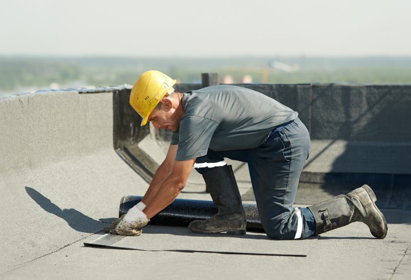 Professional Roofing Consultation